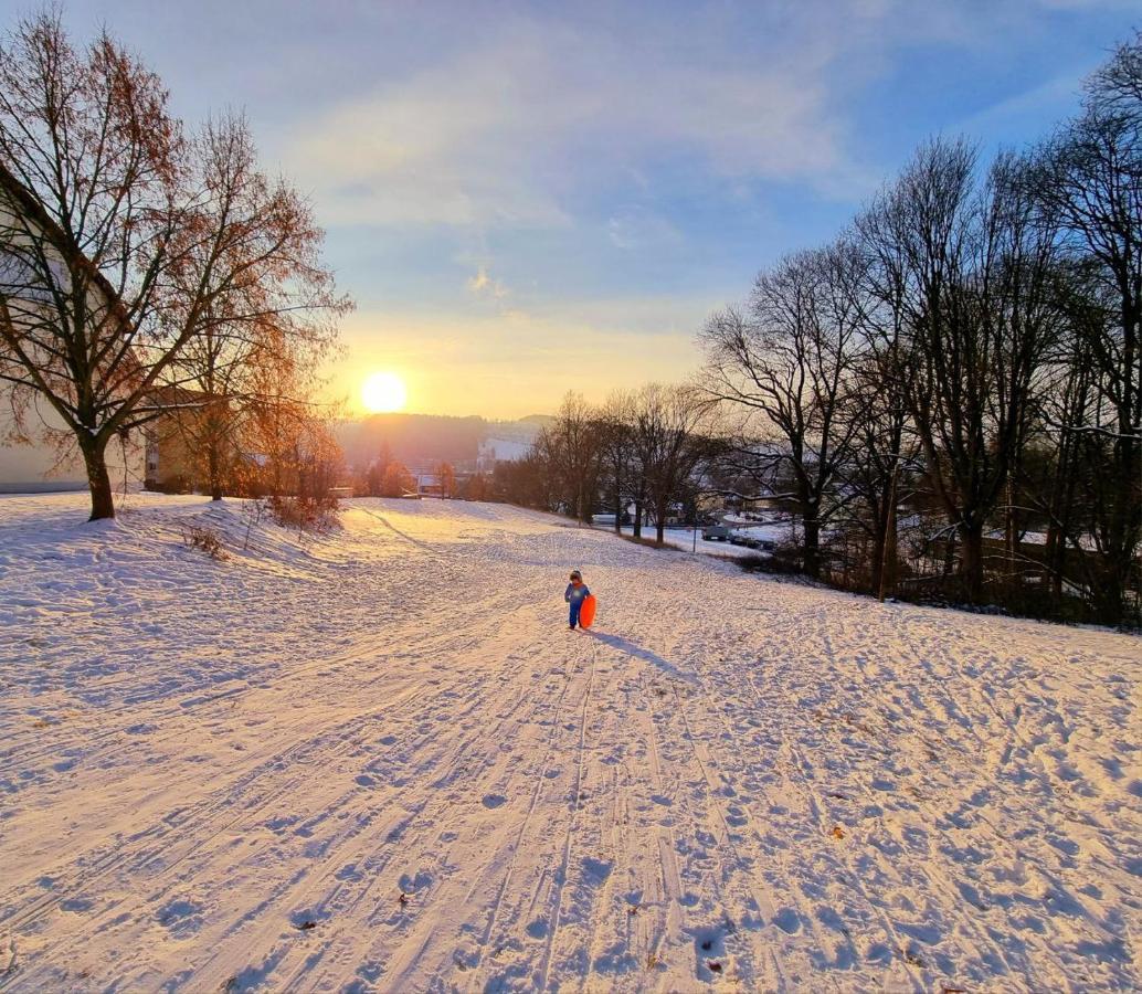 Ferienhaeuser Olbernhau Erzgebirge Buitenkant foto