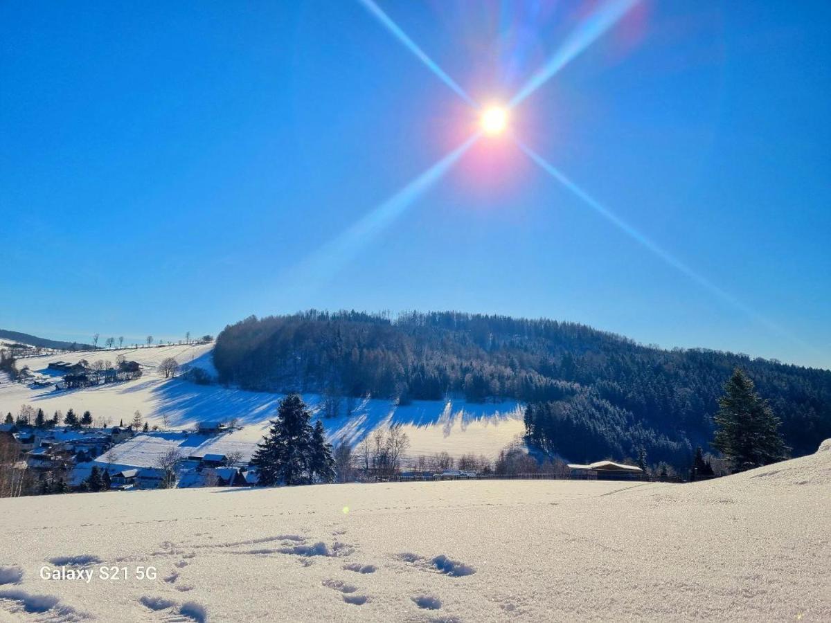 Ferienhaeuser Olbernhau Erzgebirge Villa Buitenkant foto