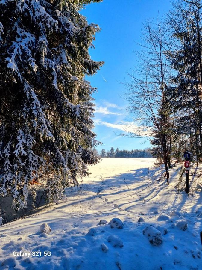 Ferienhaeuser Olbernhau Erzgebirge Buitenkant foto