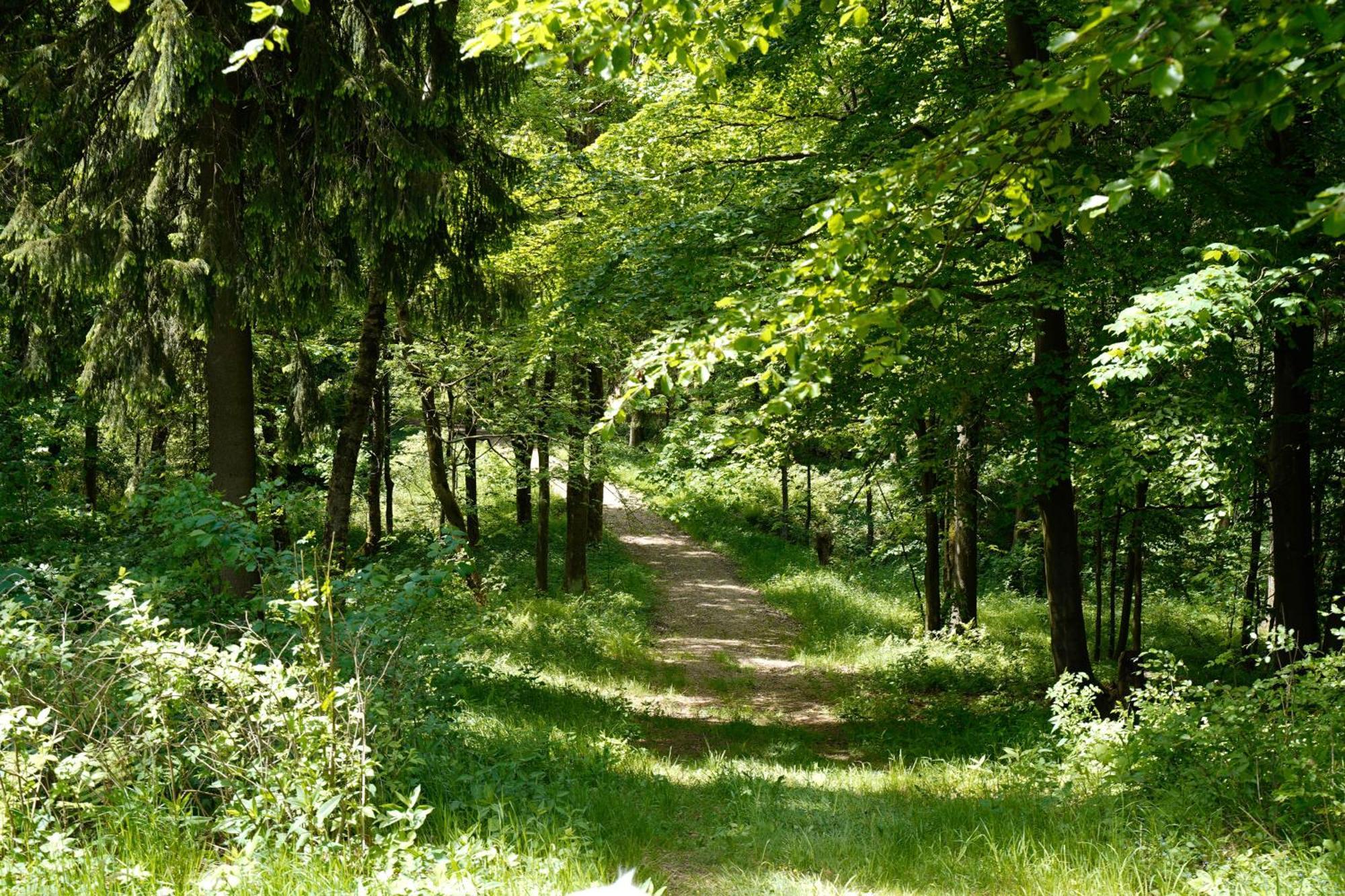 Ferienhaeuser Olbernhau Erzgebirge Villa Buitenkant foto